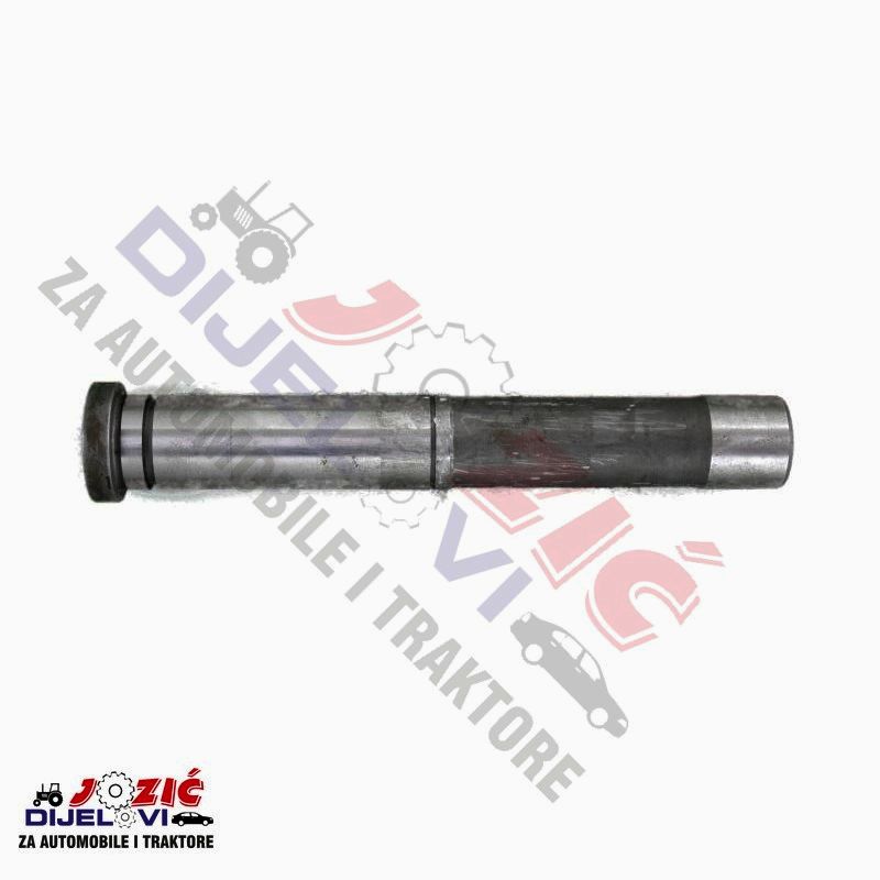 Daisy on the Ohoopee